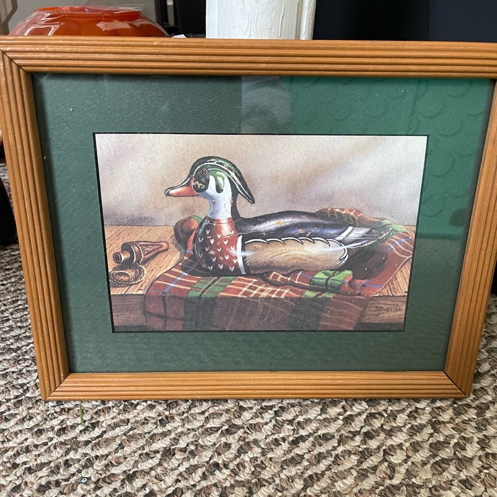 Framed Duck Picture Home Decor